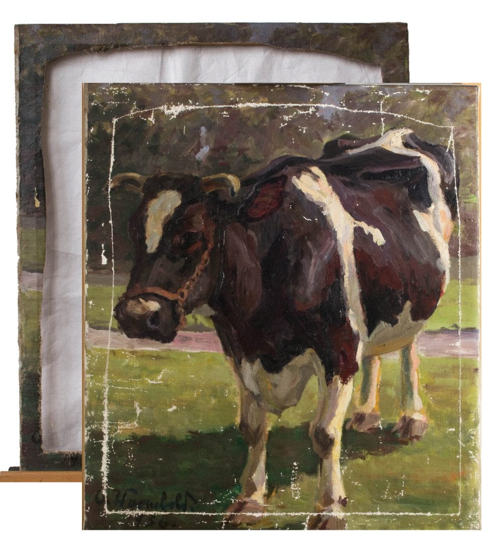 Painting, oil on canvas, Portrait of a Cow
