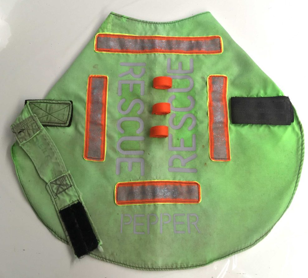 Search Rescue Dog Jacket. The Repair Shop TV